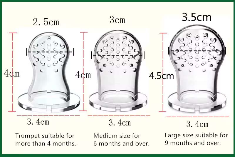 BABYDISE Baby Fruit Feeder Pacifier